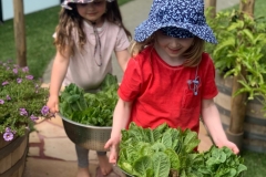 Children delivering lettuce to the kitchen